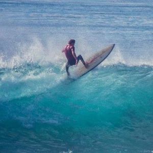 Meet your Posher, Bobby